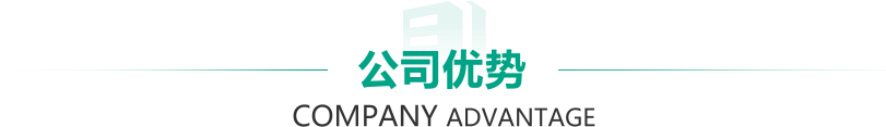 公司优势
